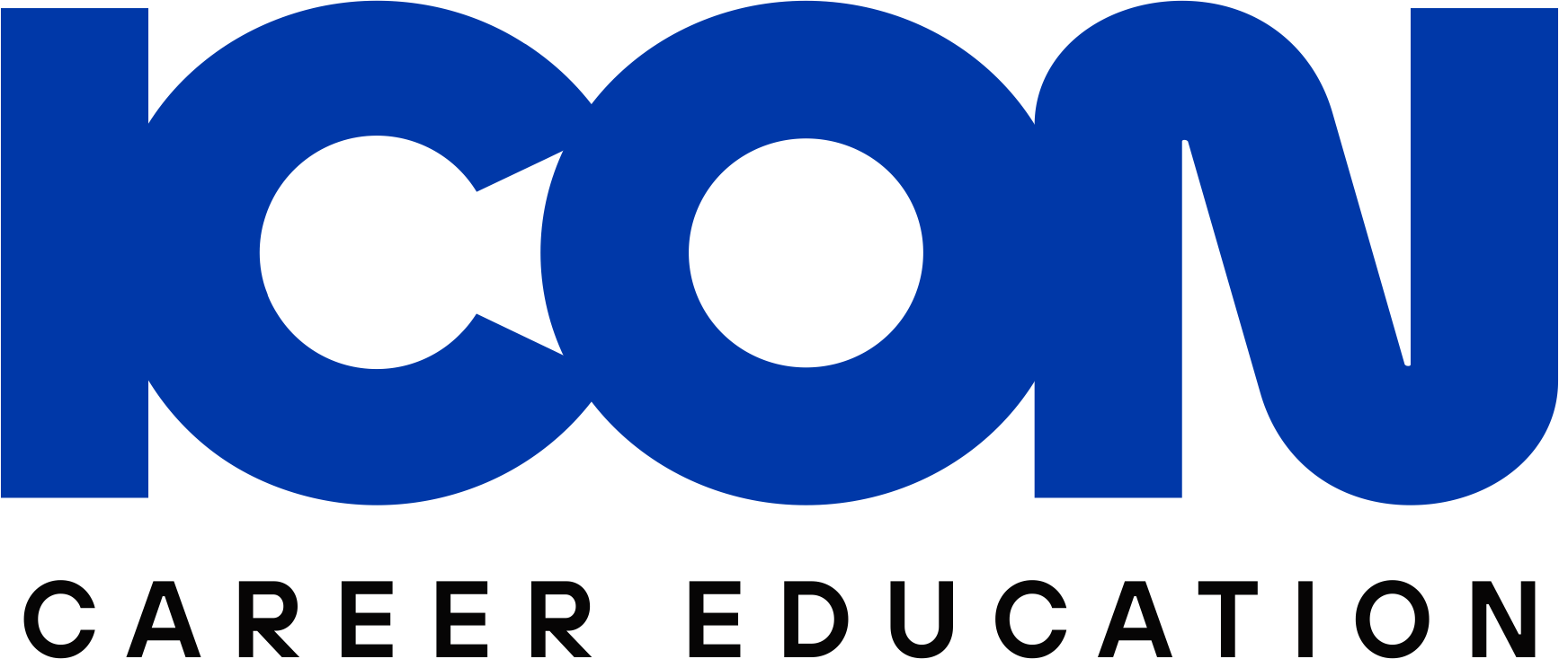 ICON Institute